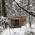 Under The Trees Apartment