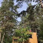 Under The Trees