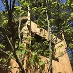Apartment Under The Trees