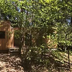 Apartment Under The Trees