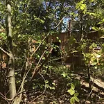 Under The Trees Apartment *