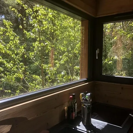 Apartament Under The Trees Labaroche