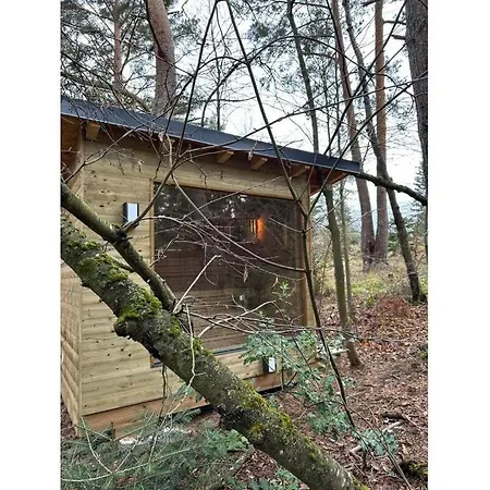 Apartament Under The Trees *