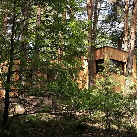 Under The Trees Apartament Labaroche