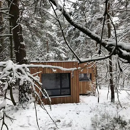 Under The Trees Apartament