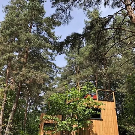 Under The Trees