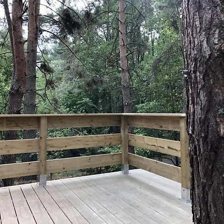 Under The Trees Apartament *