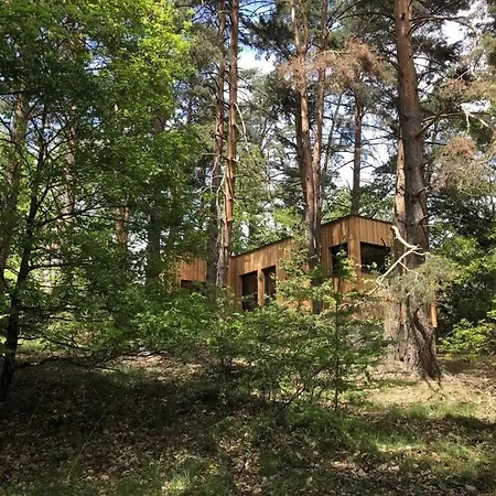 Under The Trees Apartament Labaroche