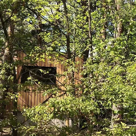 Under The Trees *
