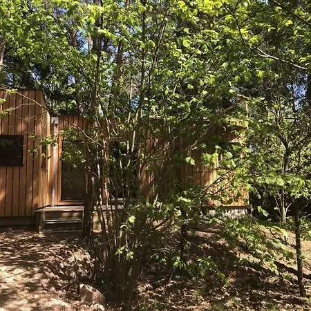 Apartament Under The Trees