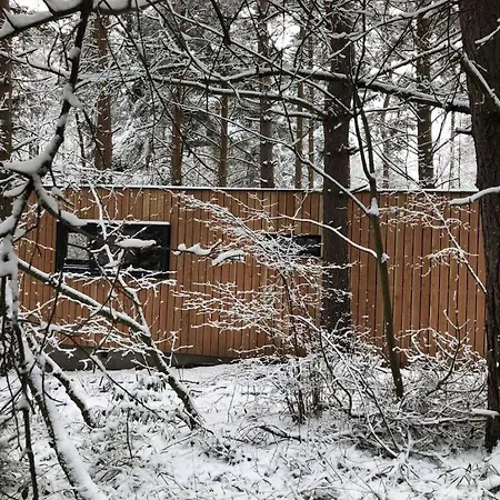 Apartament Under The Trees *