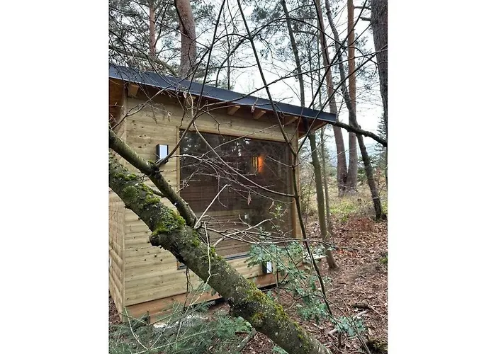 Apartment Under The Trees *