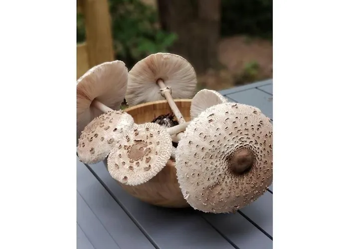 Under The Trees Apartment *