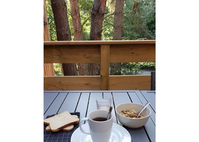 Apartment Under The Trees
