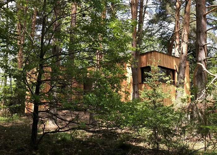 Under The Trees Apartment Labaroche
