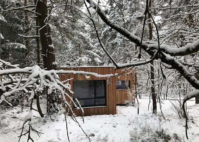 Under The Trees Apartment