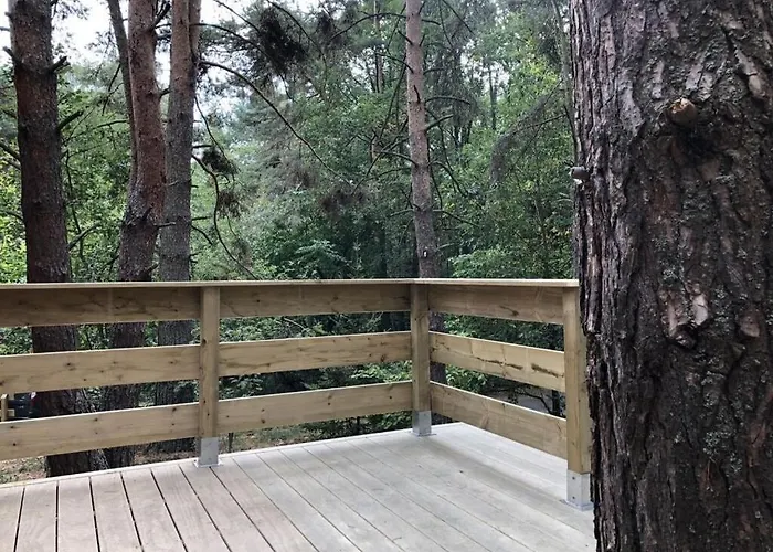 Under The Trees Apartment *