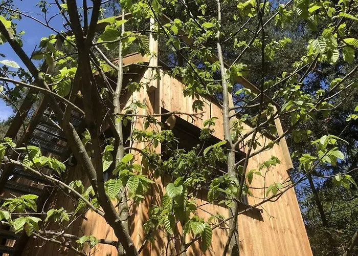Apartment Under The Trees