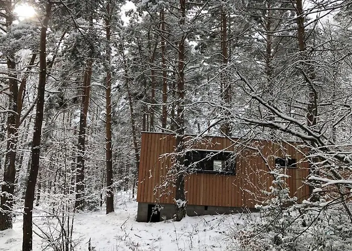 Under The Trees Apartment