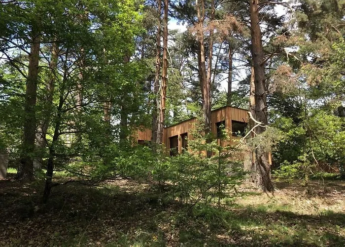 Under The Trees Apartment Labaroche