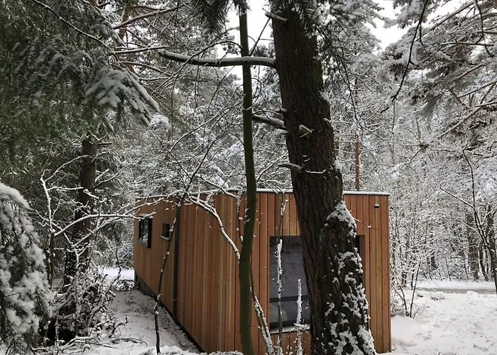 Under The Trees Apartment