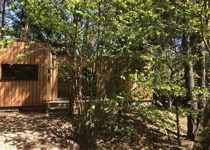 Apartment Under The Trees