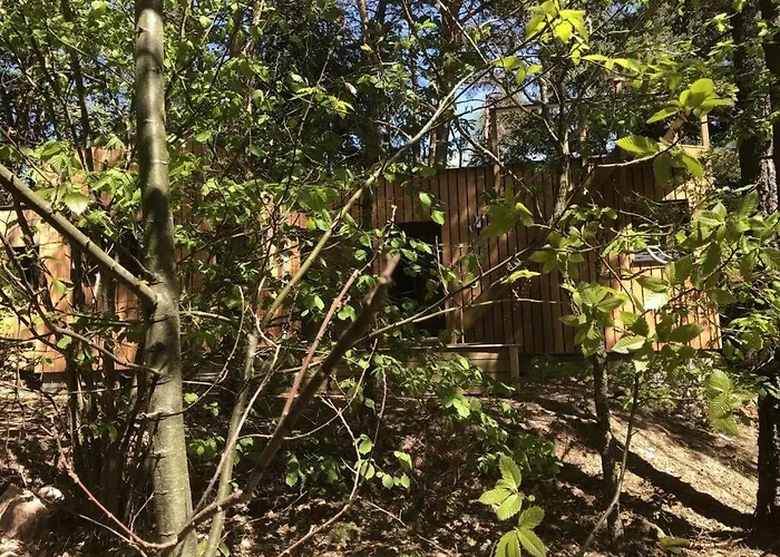 Under The Trees Apartment *